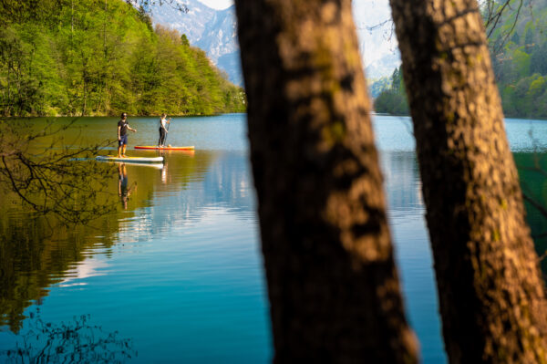 Stand up paddle