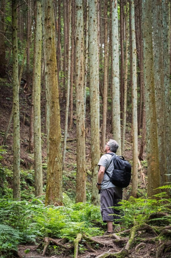 Forest Bathing