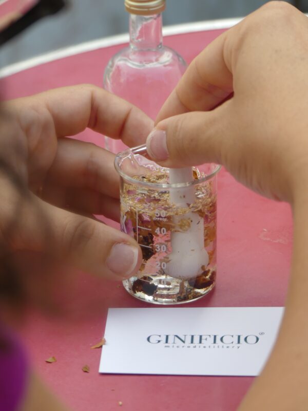 Ginificando: crea il tuo gin