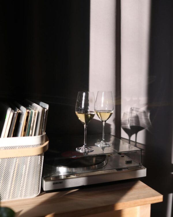 Vini e vinili